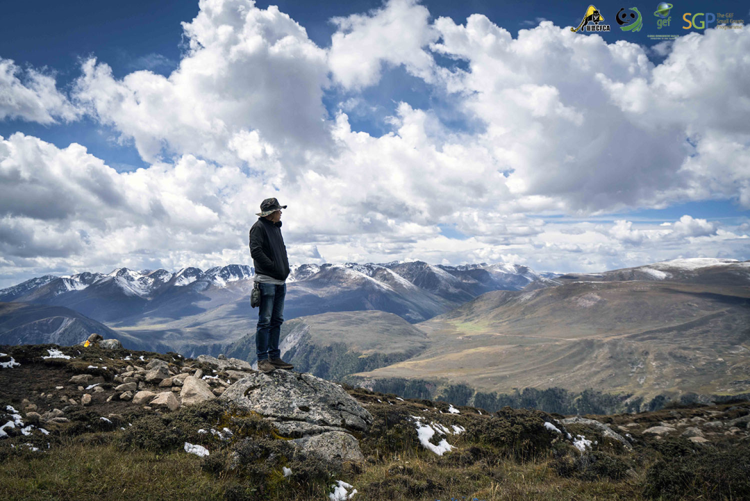 关于中原雪豹队鏖战塞外暴熊队，冲浪邀请赛击败，替补奇兵立功。战术板得到兑现的信息